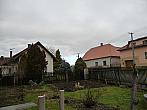 Třibřichy